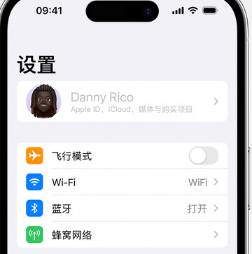 文县appleID维修服务iPhone设置中Apple ID显示为灰色无法使用 