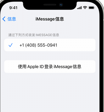 文县apple维修iPhone上无法正常发送iMessage信息 