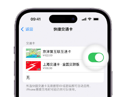 文县apple维修点分享iPhone上更换Apple Pay快捷交通卡手绘卡面 