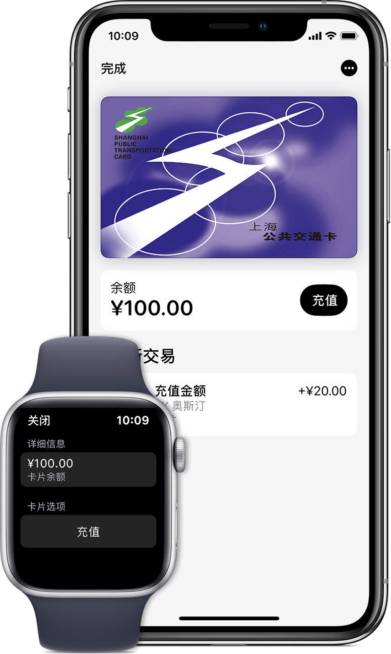 文县苹果手机维修分享:用 Apple Pay 刷交通卡有哪些优势？如何设置和使用？ 