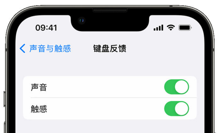 文县苹果手机维修分享iPhone 14触感键盘使用方法 