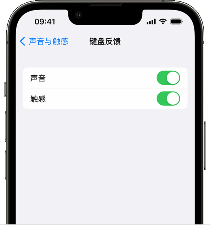 文县苹果14维修店分享如何在 iPhone 14 机型中使用触感键盘 