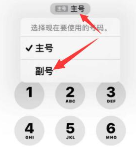 文县苹果14维修店分享iPhone 14 Pro Max使用副卡打电话的方法 