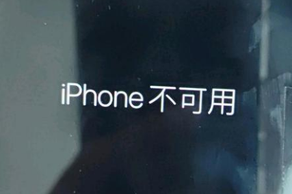 文县苹果服务网点分享锁屏界面显示“iPhone 不可用”如何解决 