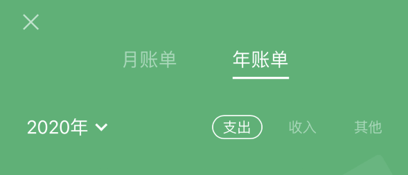 文县苹果手机维修分享如何在 iPhone 上查看支付宝和微信年支出账单 