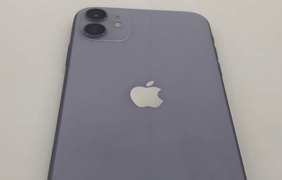 文县苹果11系统维修分享iPhone11手机系统崩溃无法开机如何解决 